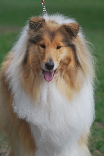 Hermione du Jardin des Heliades