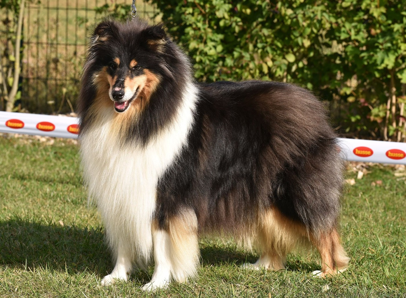 Tonic london essence du Jardin des Heliades