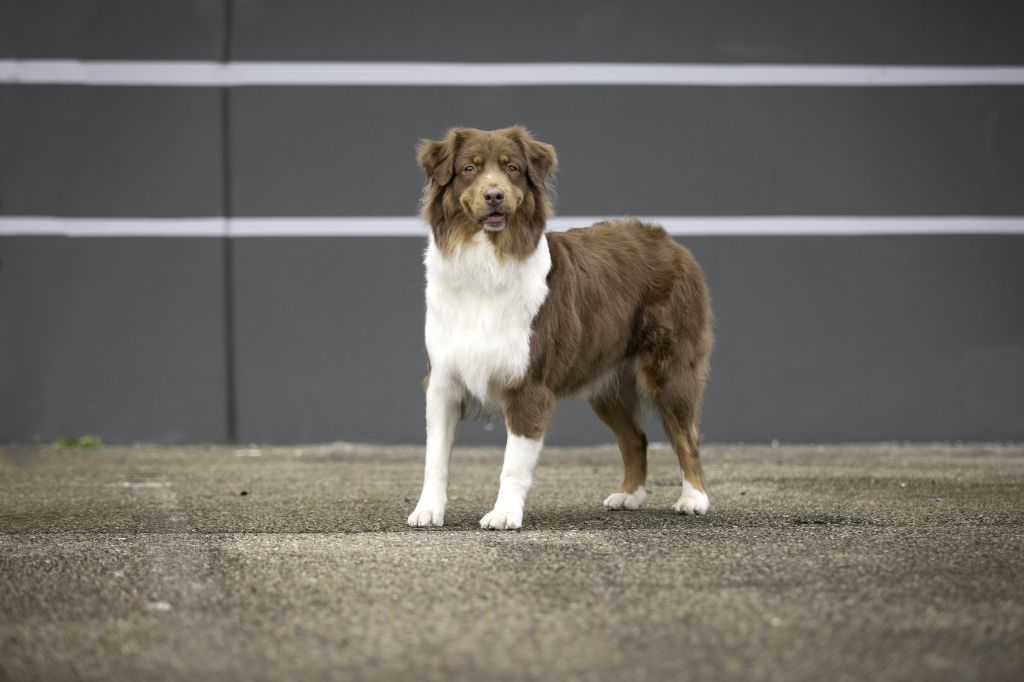 My little princess du Jardin des Heliades