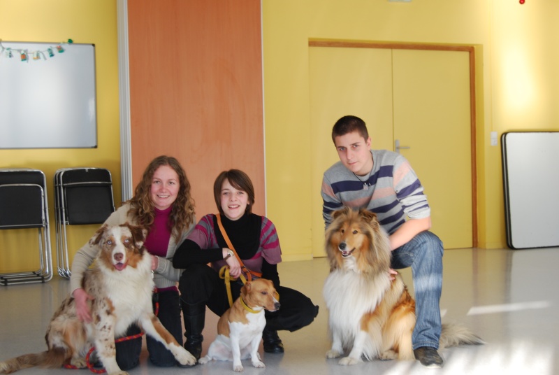 Les chiens en maison de retraite